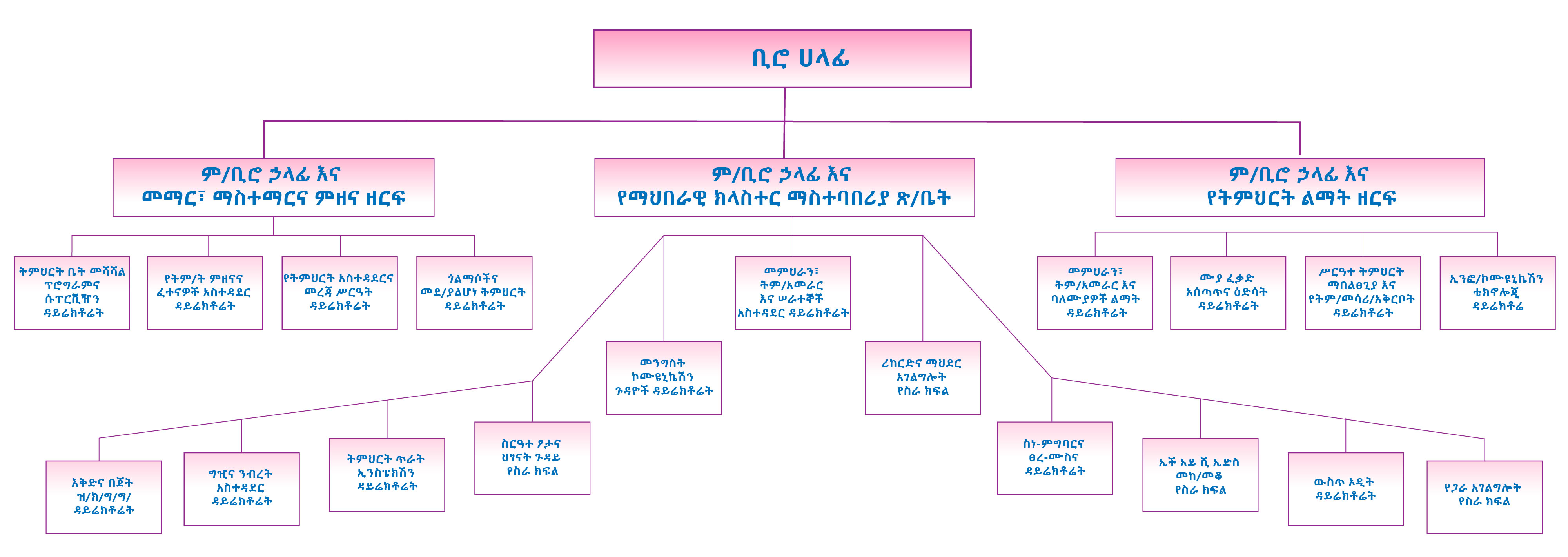 Organization structure